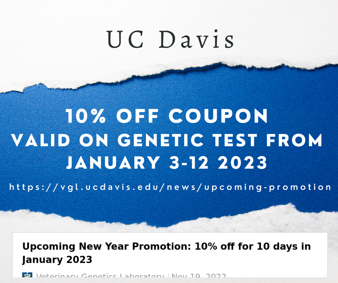 Pony of the Americas Club, Inc. Official Breed site